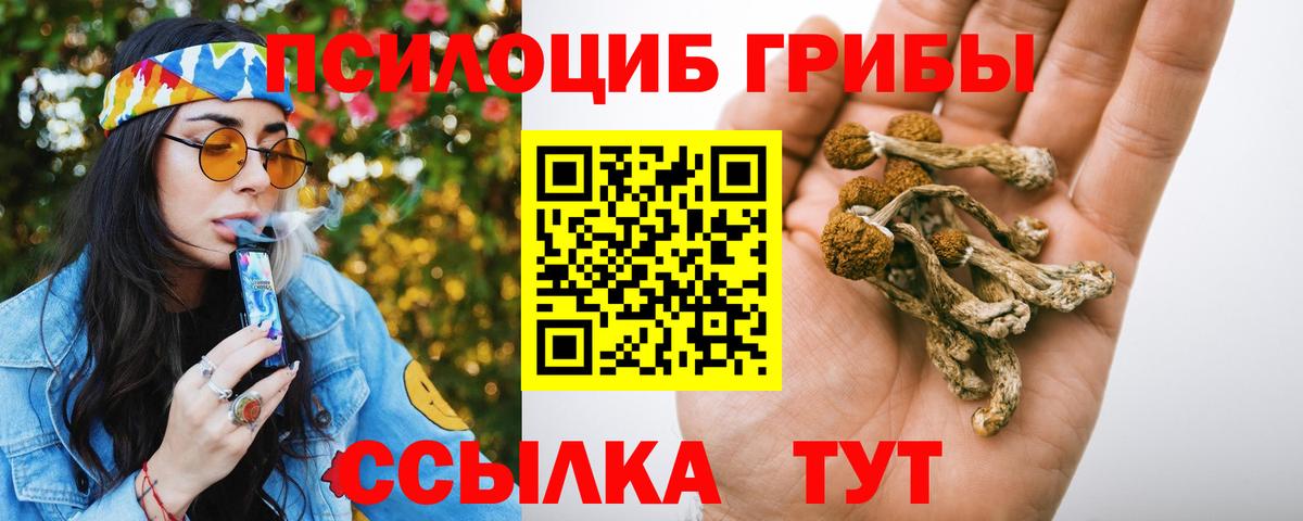 Феодосия  Галлюциногенные грибы Magic Shrooms  Вход с VPN  Псилоцибиновые грибы мухоморы 