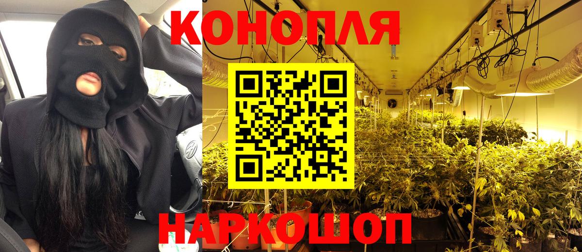 Бошки марихуана тримм  Шишки марихуана планчик  Вход с VPN  Феодосия 
